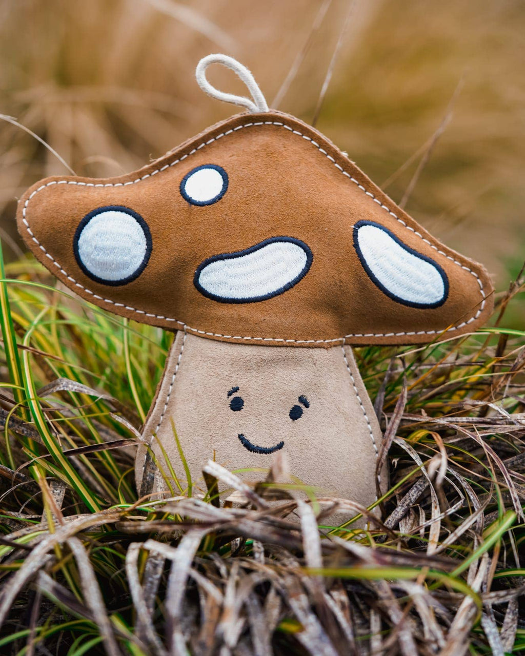 Chestnut the Mushroom