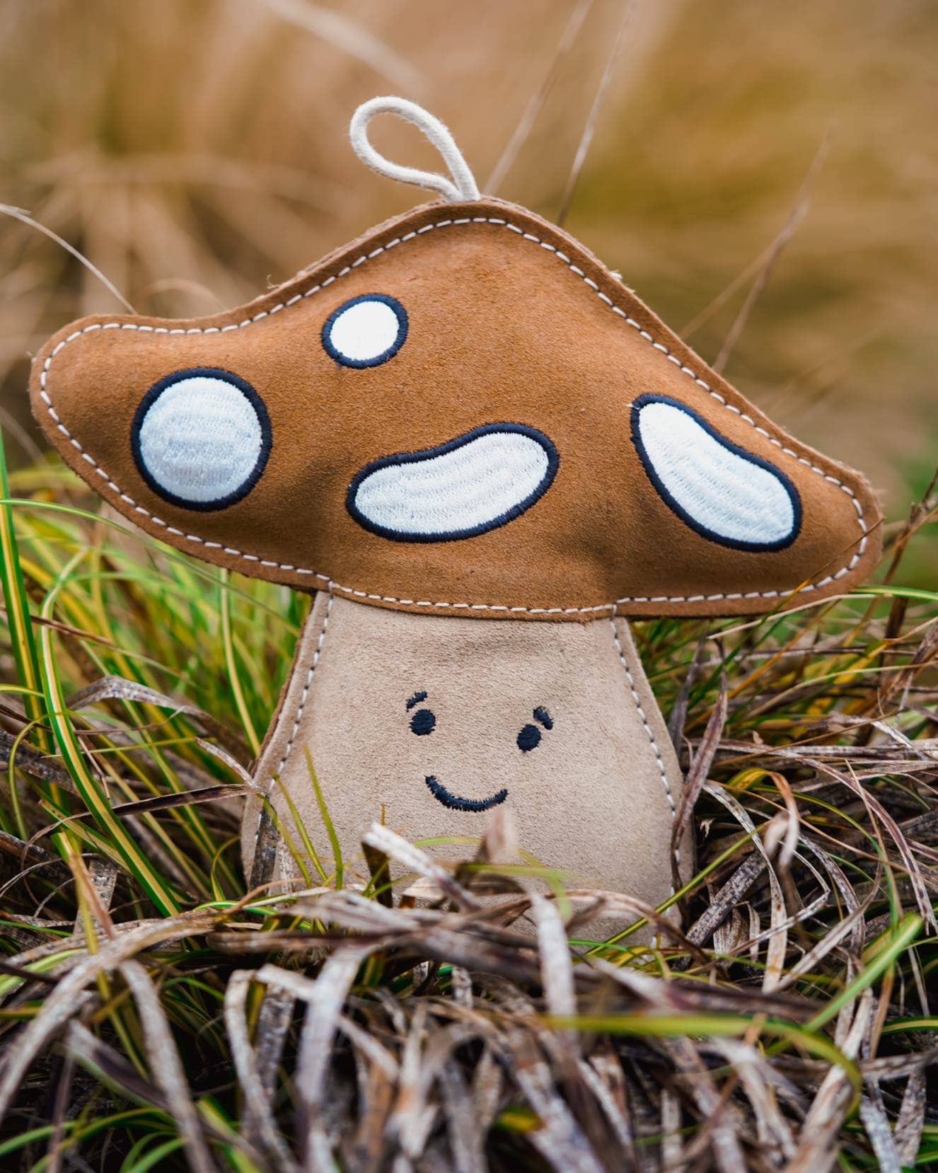 Chestnut the Mushroom