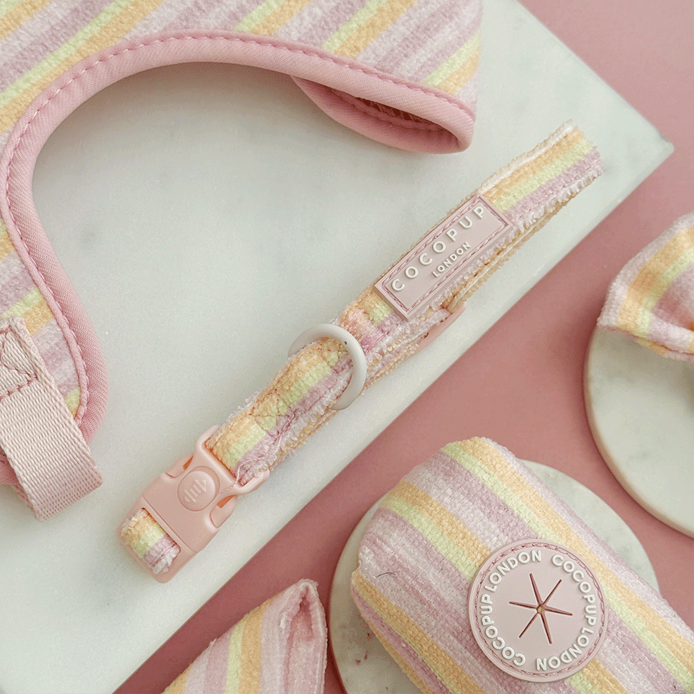 Pastel Stripes Dog COLLAR