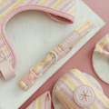 Pastel Stripes Dog COLLAR