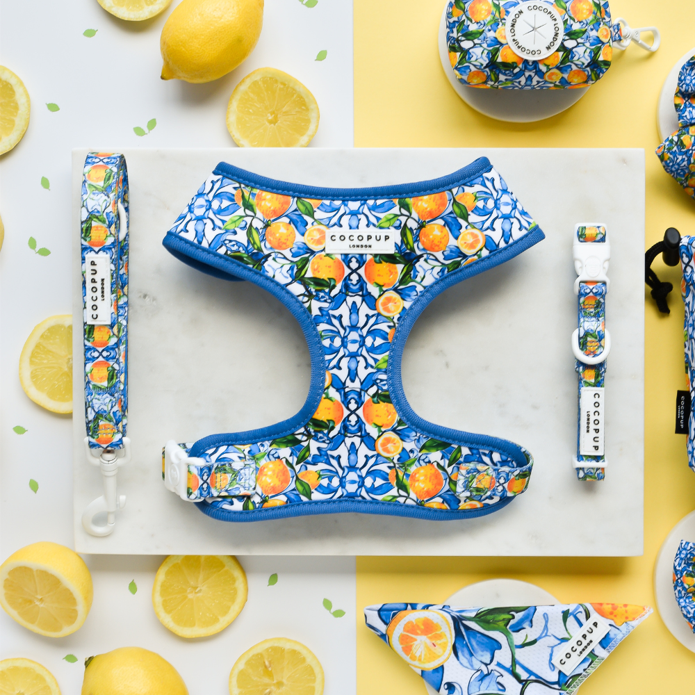 Amalfi Lemon Adjustable Neck HARNESS