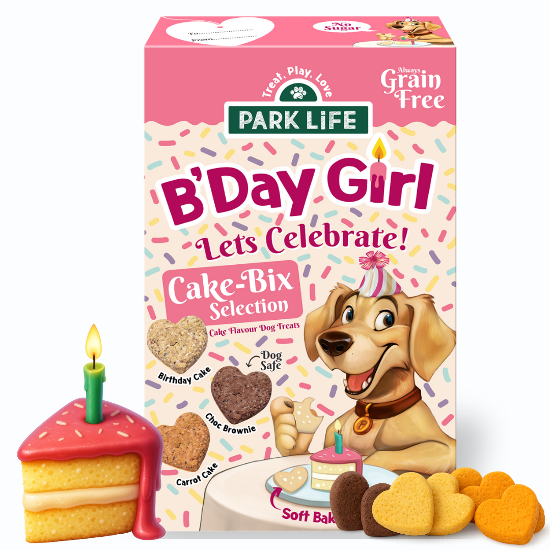 Cake-Bix B'Day Girl Cake Selection 240g