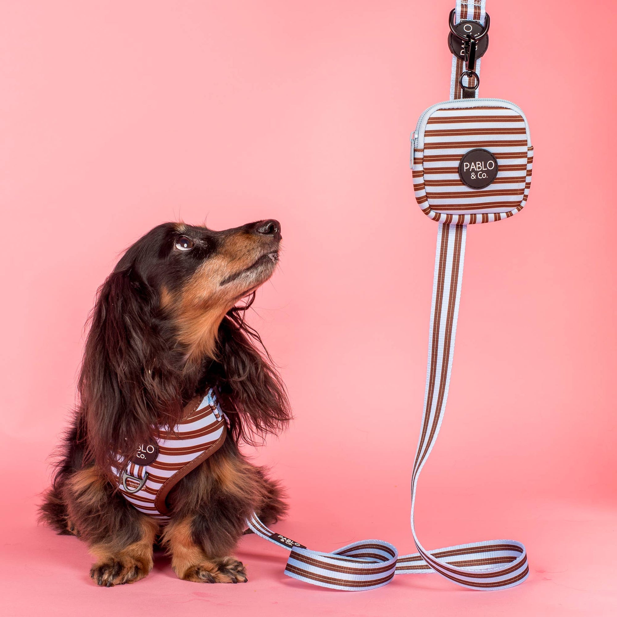 Sunday Stripes: Treat Pouch