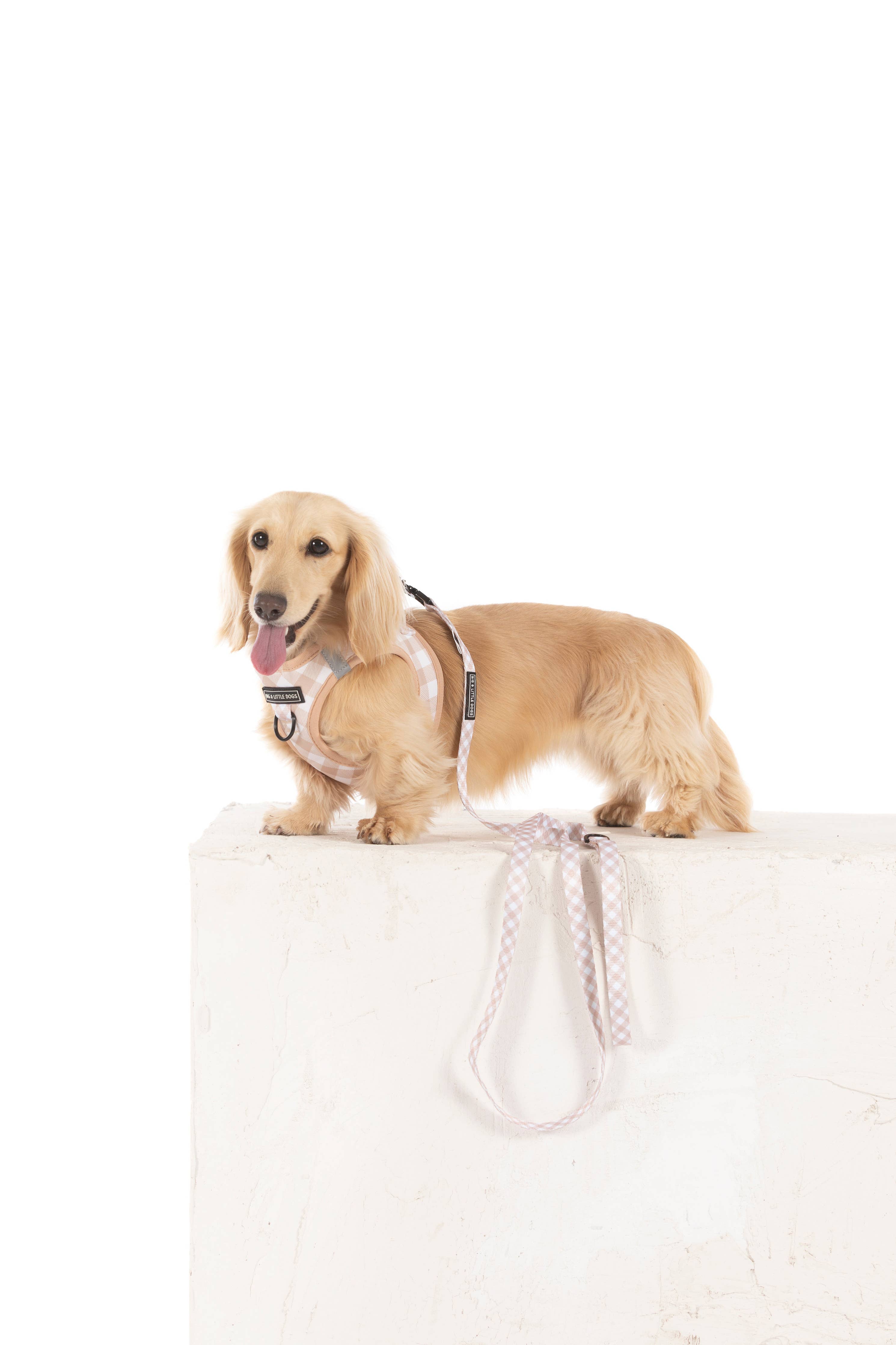 STEP-IN DOG HARNESS: Latte Gingham
