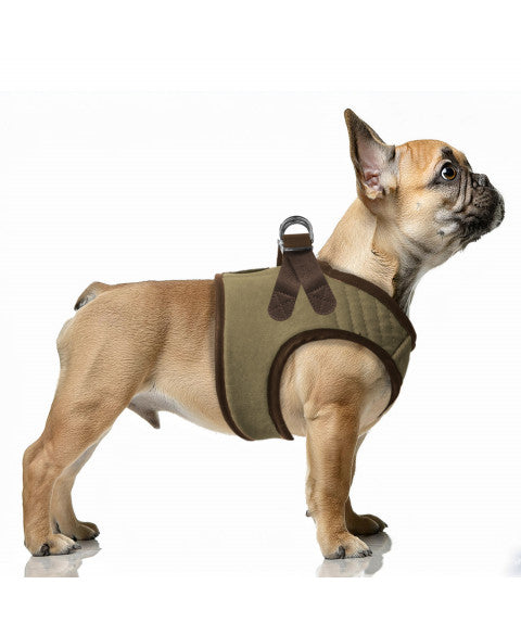 Daku Harness Outdoor - Khaki