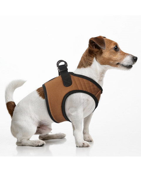 Daku Harness Outdoor - Camel