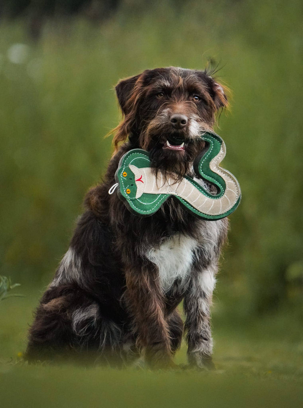 Kai the Cobra Eco Dog Toy