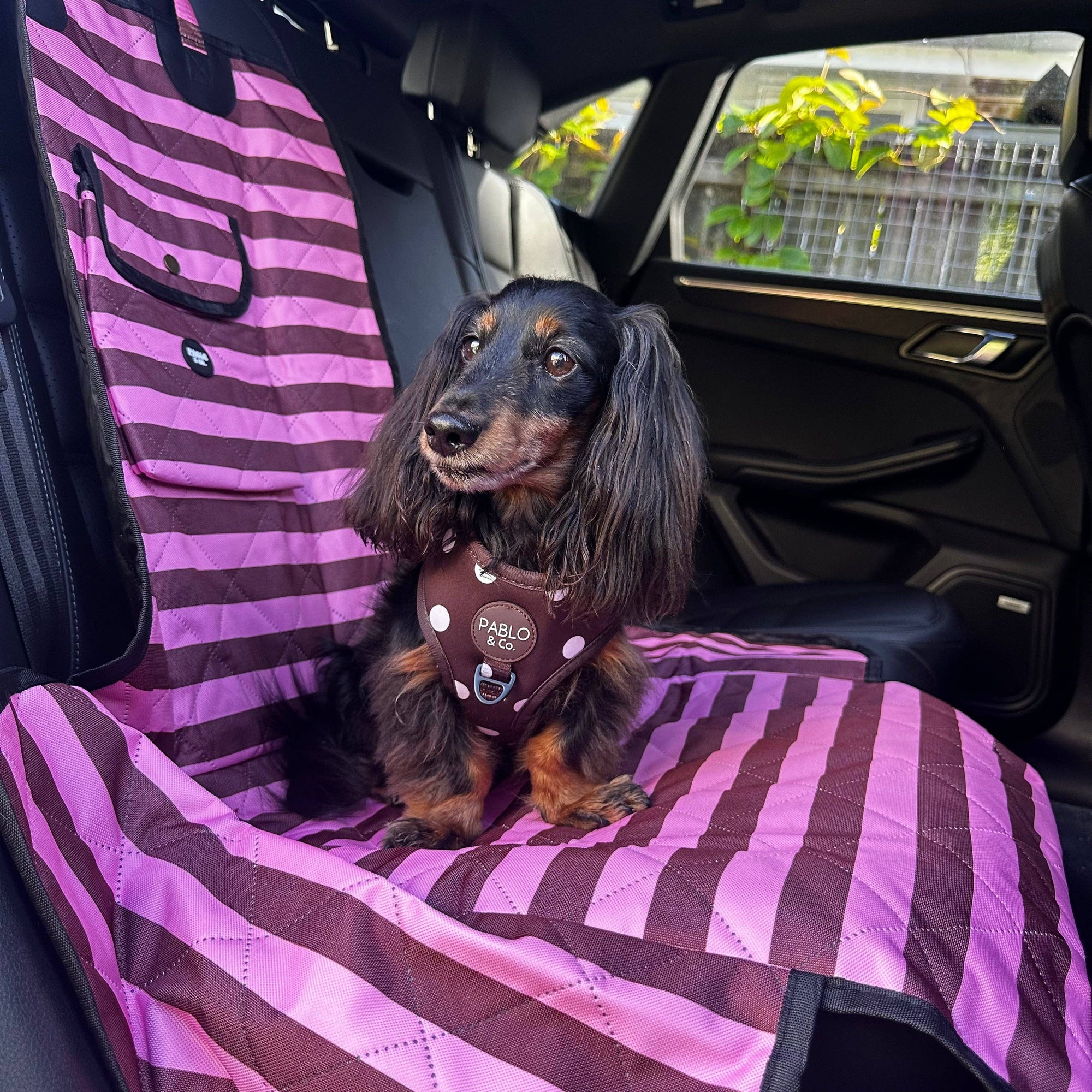 Blushing Stripes: Deluxe Single Car Dog Seat Cover