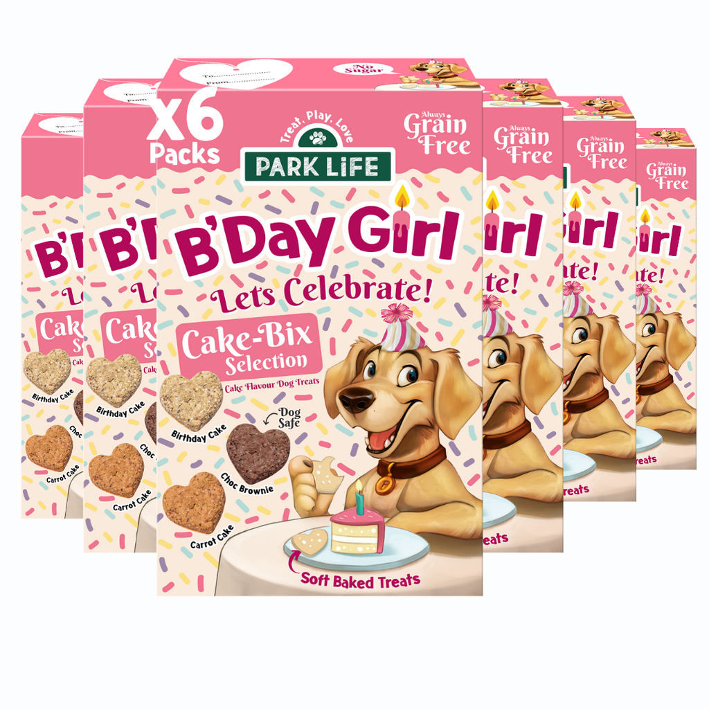 Cake-Bix B'Day Girl Cake Selection 240g