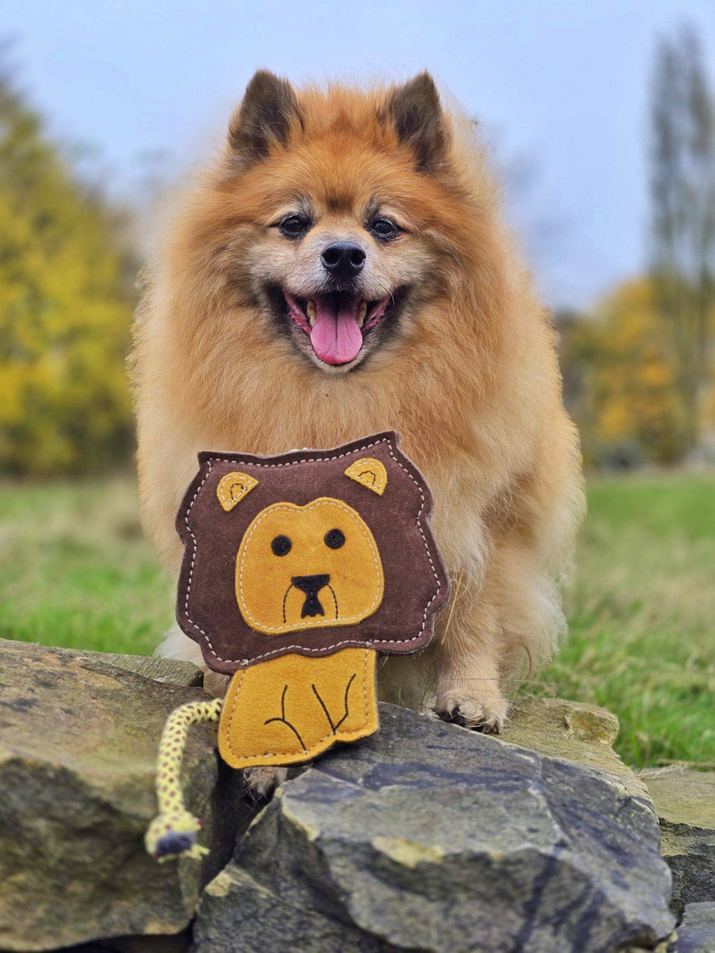 Howard the Lion shaped Tough Eco Dog Toy