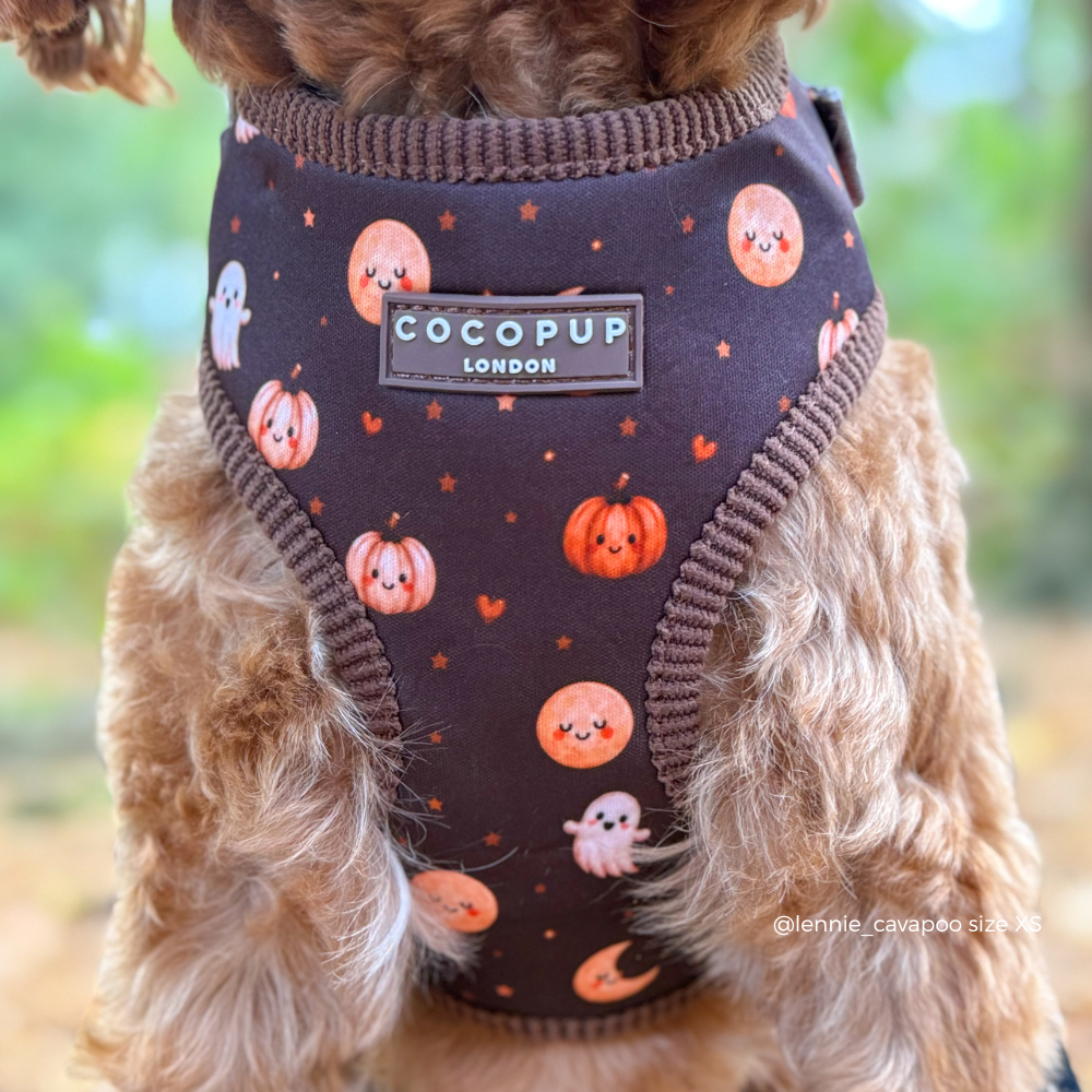 Boo Crew Adjustable Neck HARNESS