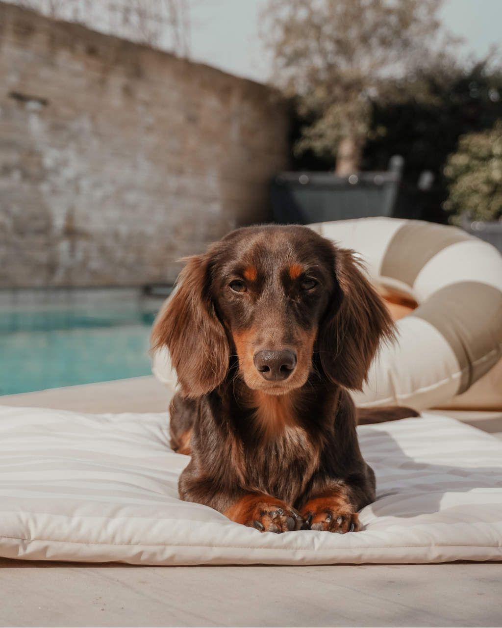 Summer Breeze Cooling Mat