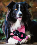 Halloween Bat Eco Dog Toy