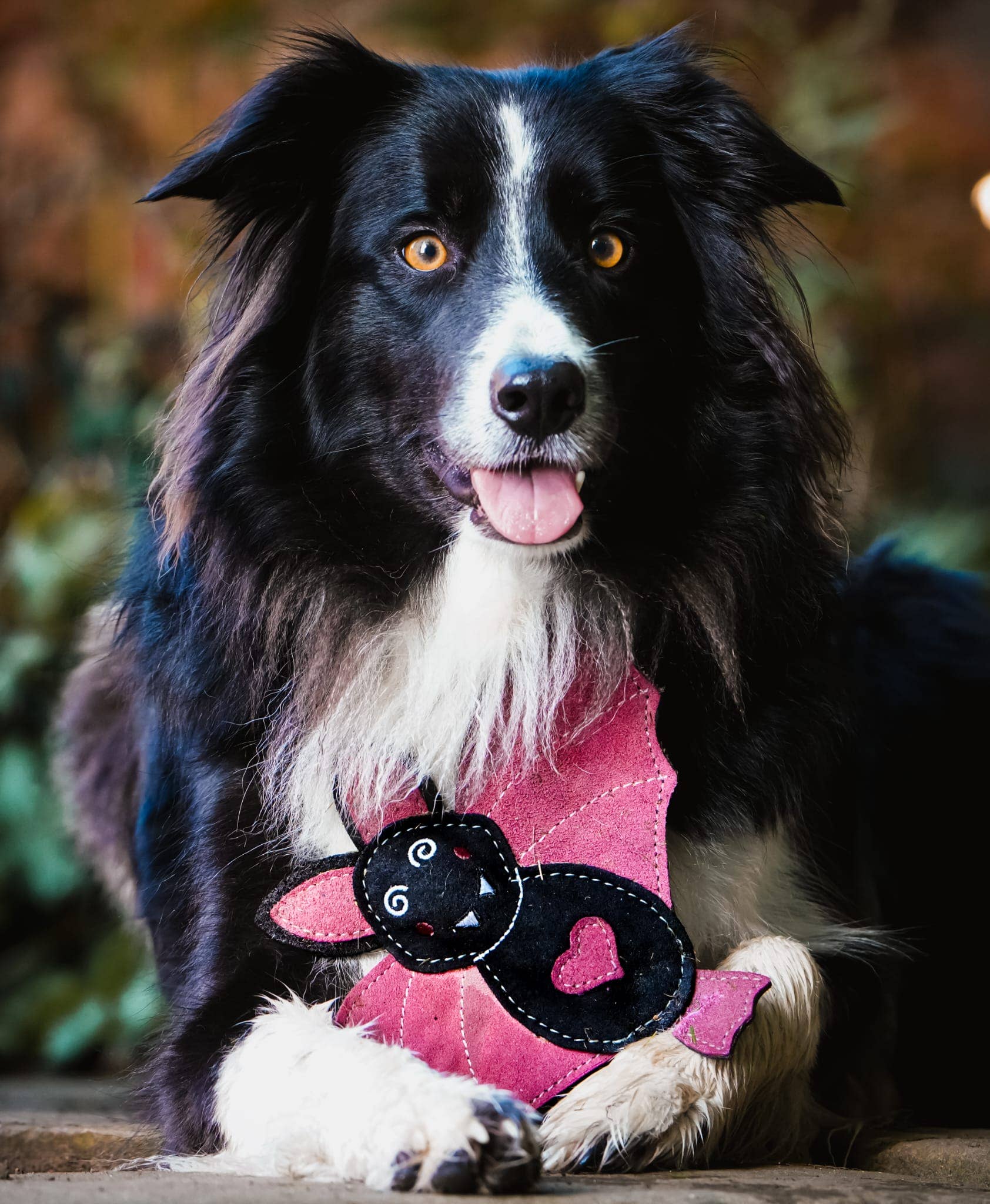 Halloween Bat NORA BATTY Eco Dog Toy