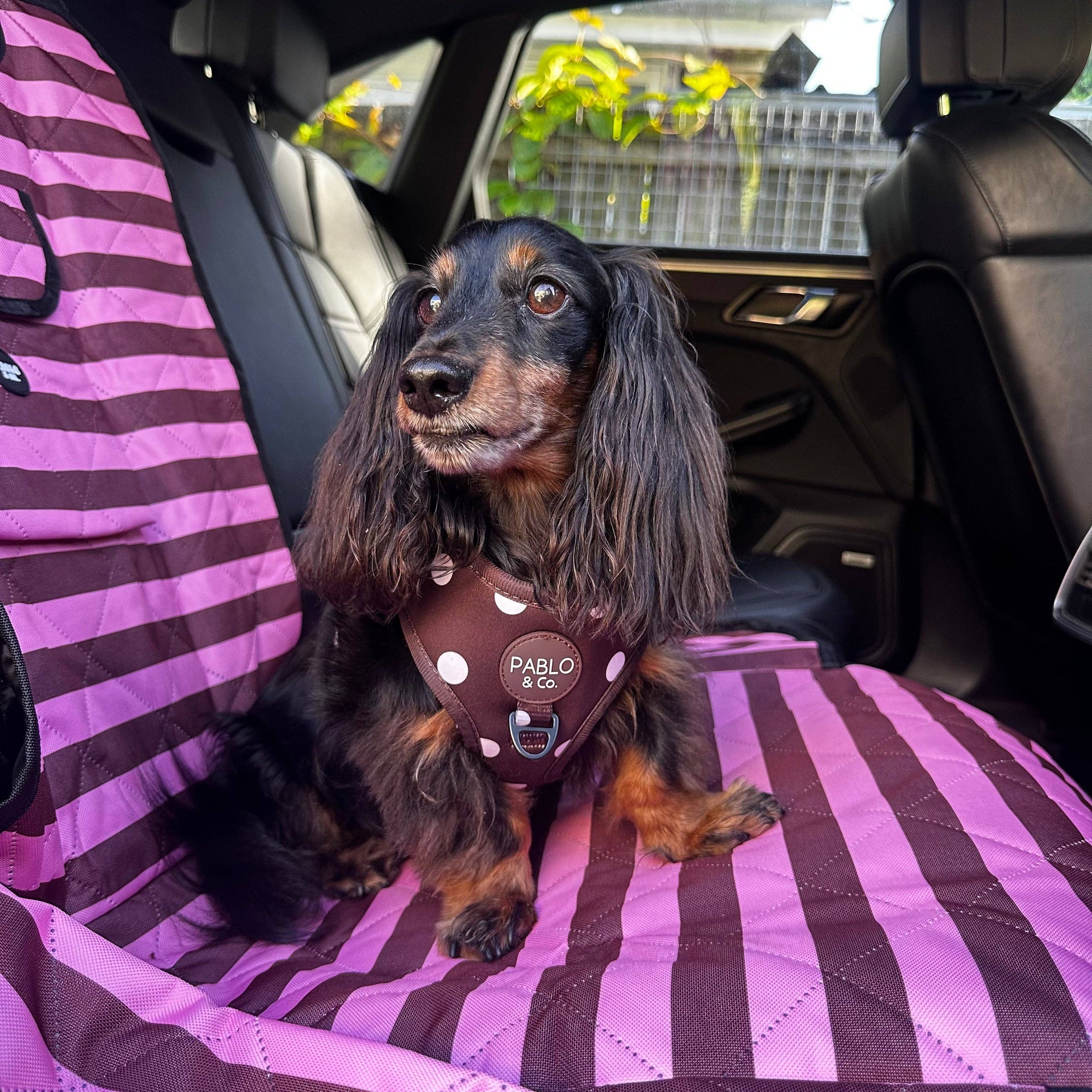 Blushing Stripes: Deluxe Single Car Dog Seat Cover