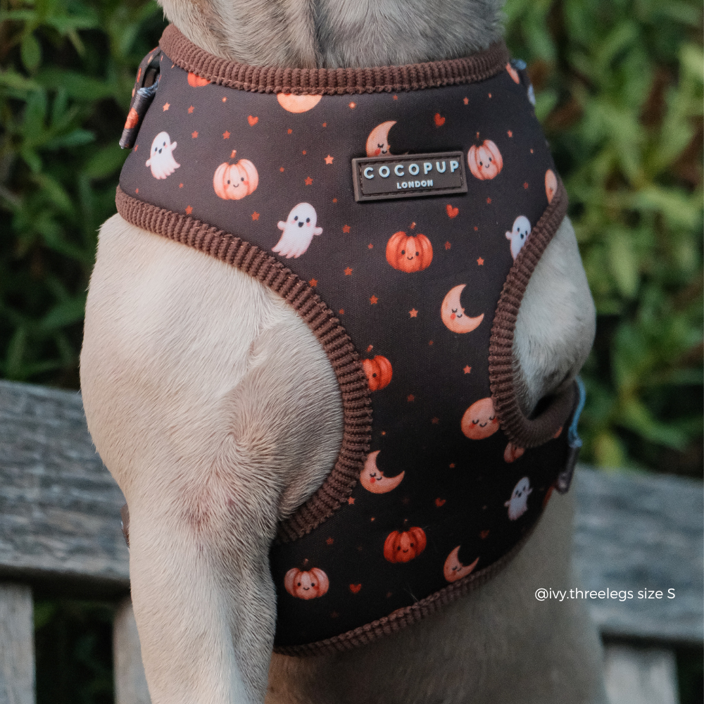 Boo Crew Adjustable Neck HARNESS