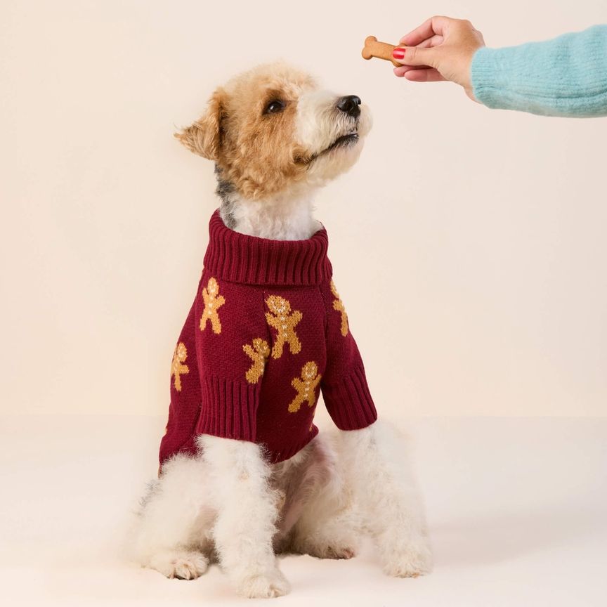 Gingerbread man dog jumper
