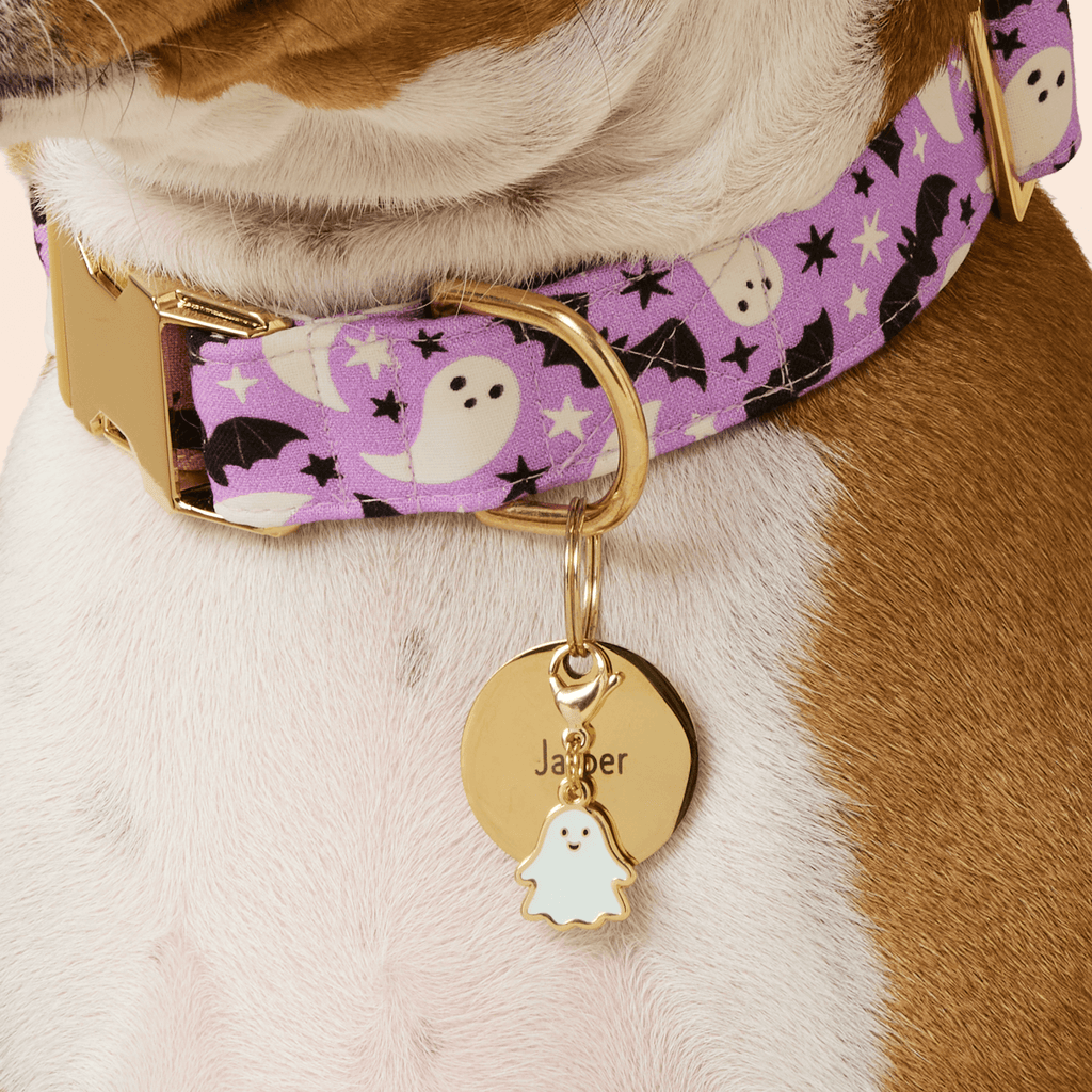 Glow-in-the-Dark Ghost Dog Collar Charm