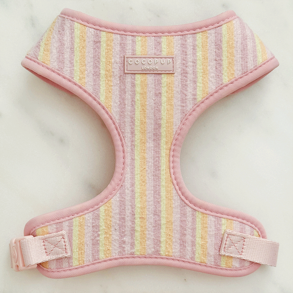 Pastel Stripes Adjustable Neck HARNESS for Dogs