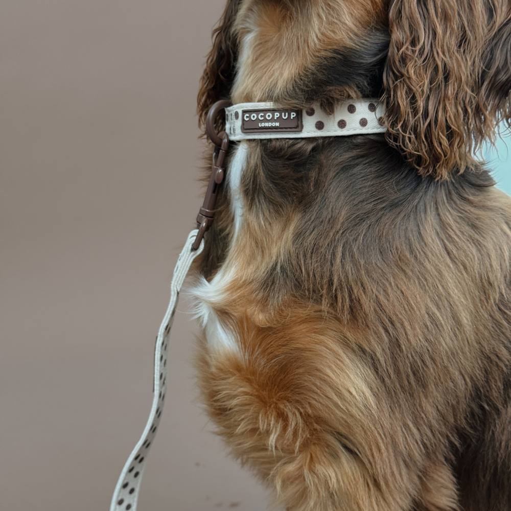 Tiramisu Polka Dot dog collar