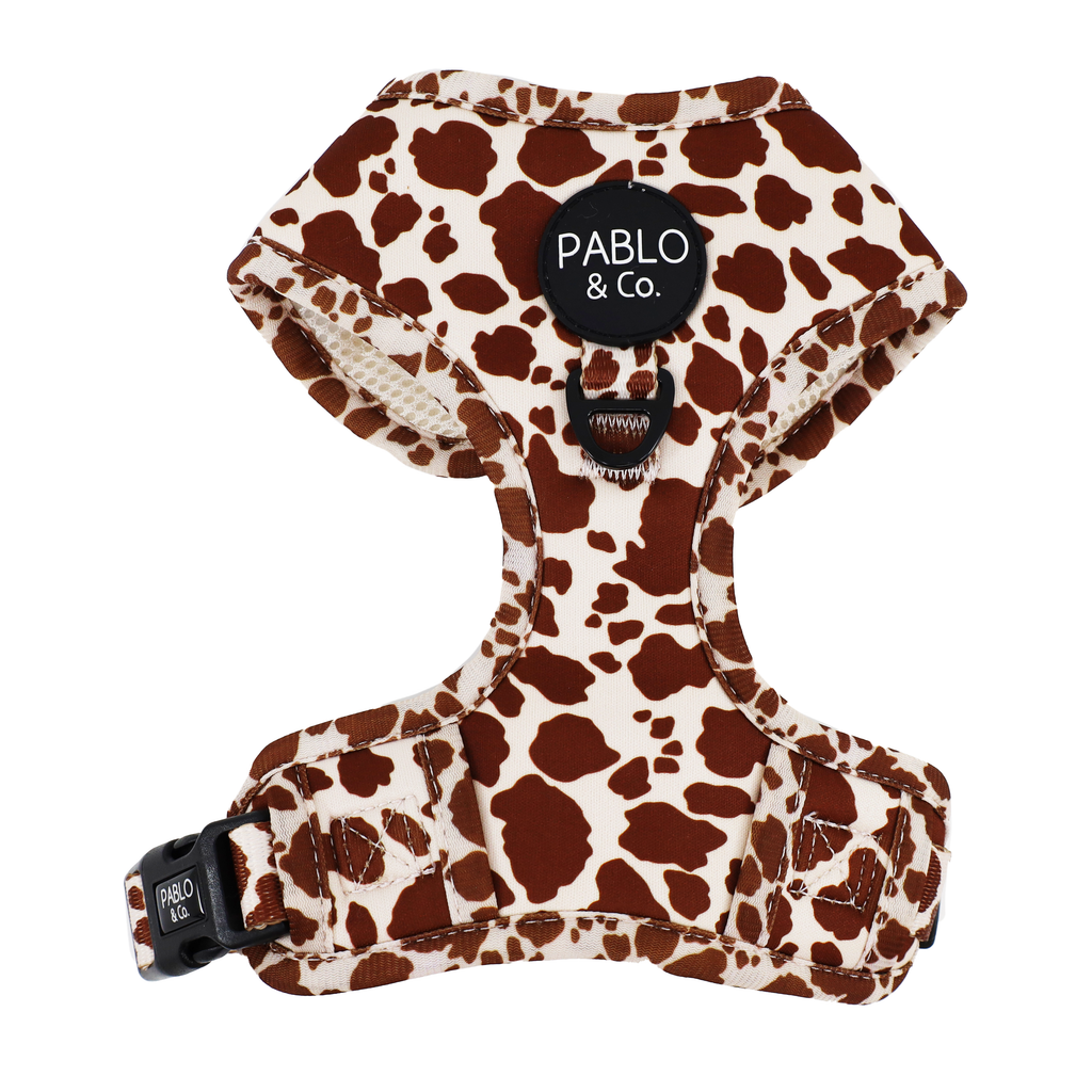 Rodeo Adjustable Dog Harness
