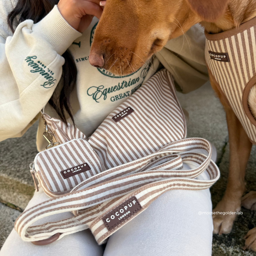 London Linen Stripes Dog Lead