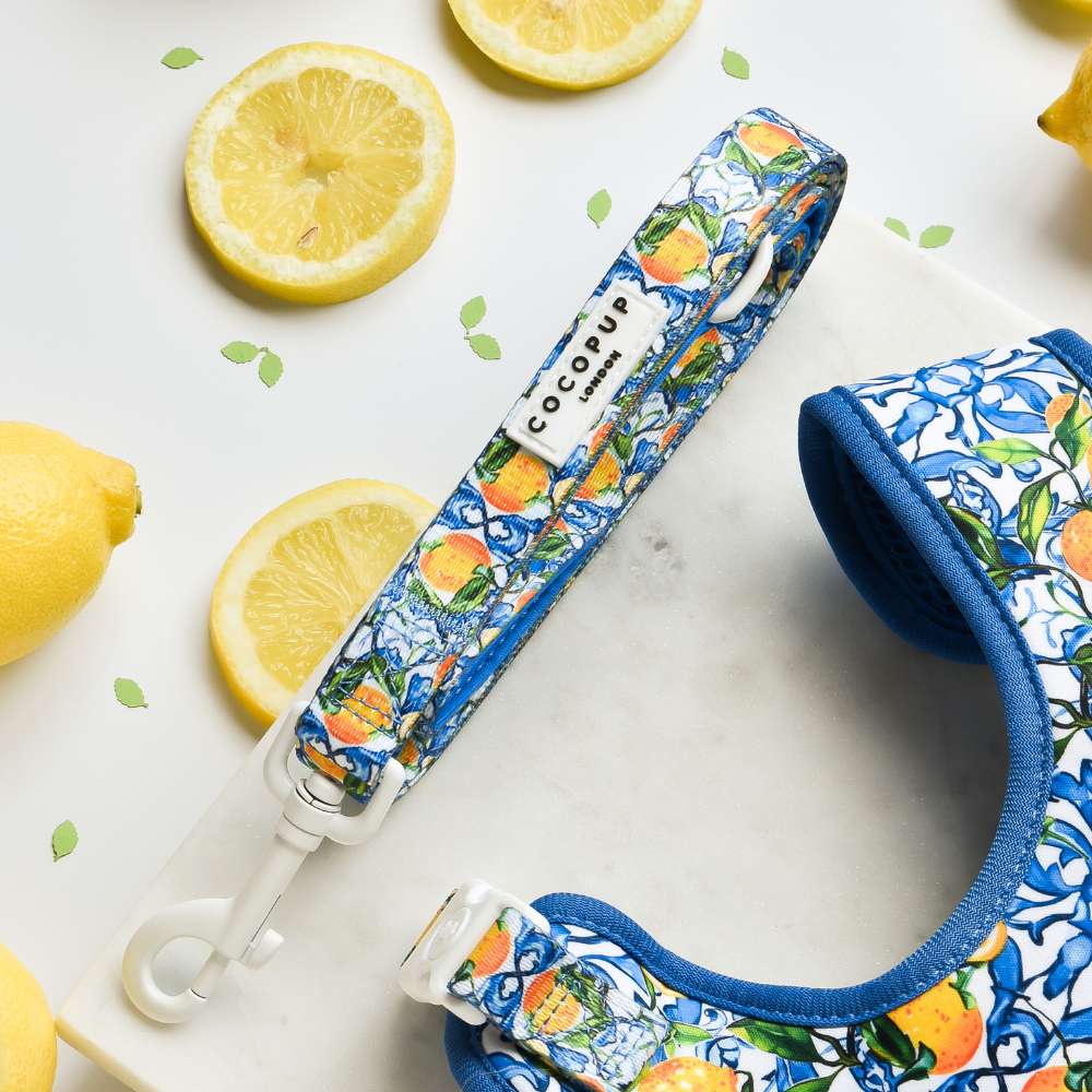 Amalfi Lemon Dog Lead