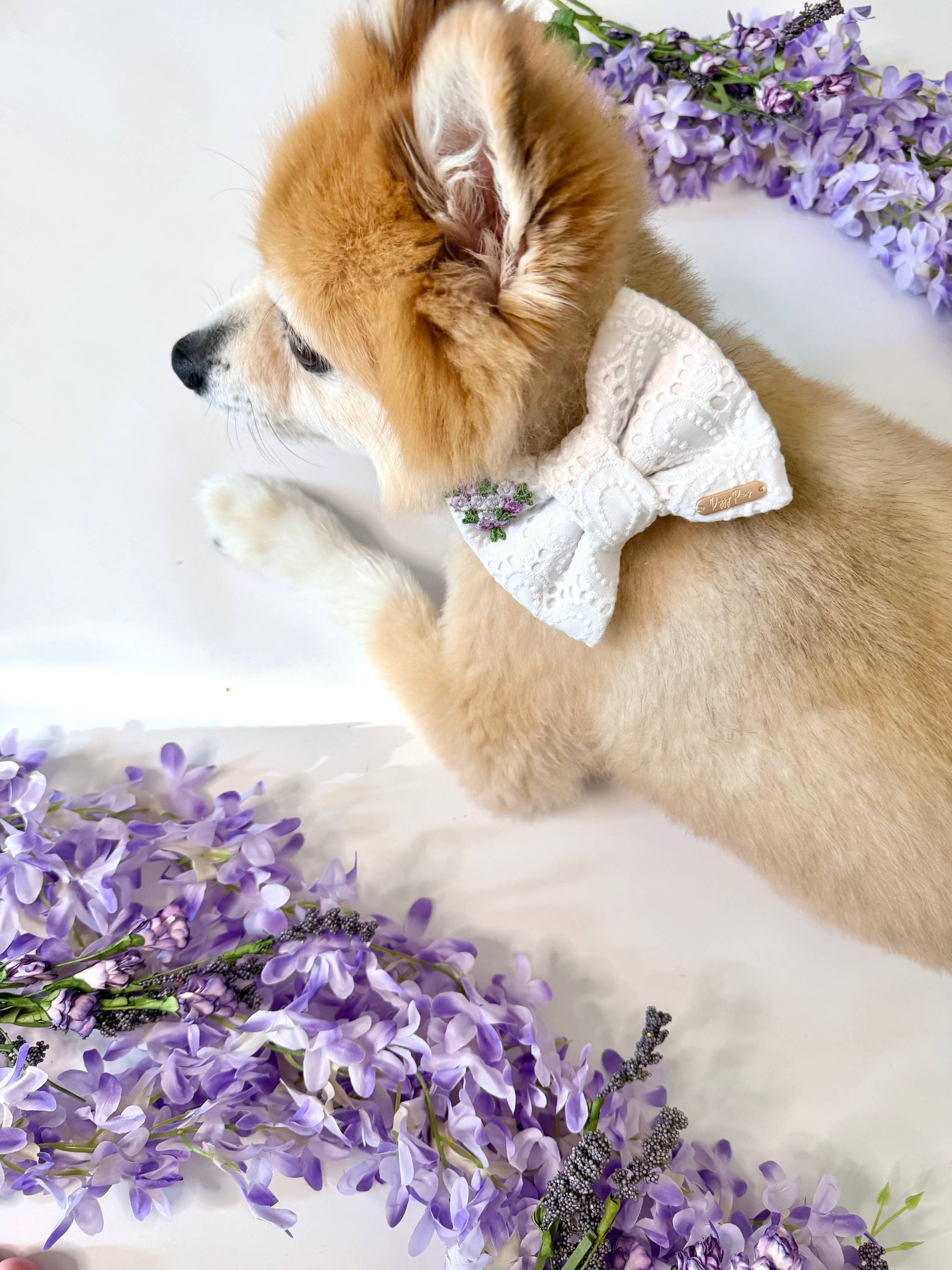 BOW TIE & SAILOR BOW | MAGNOLIA