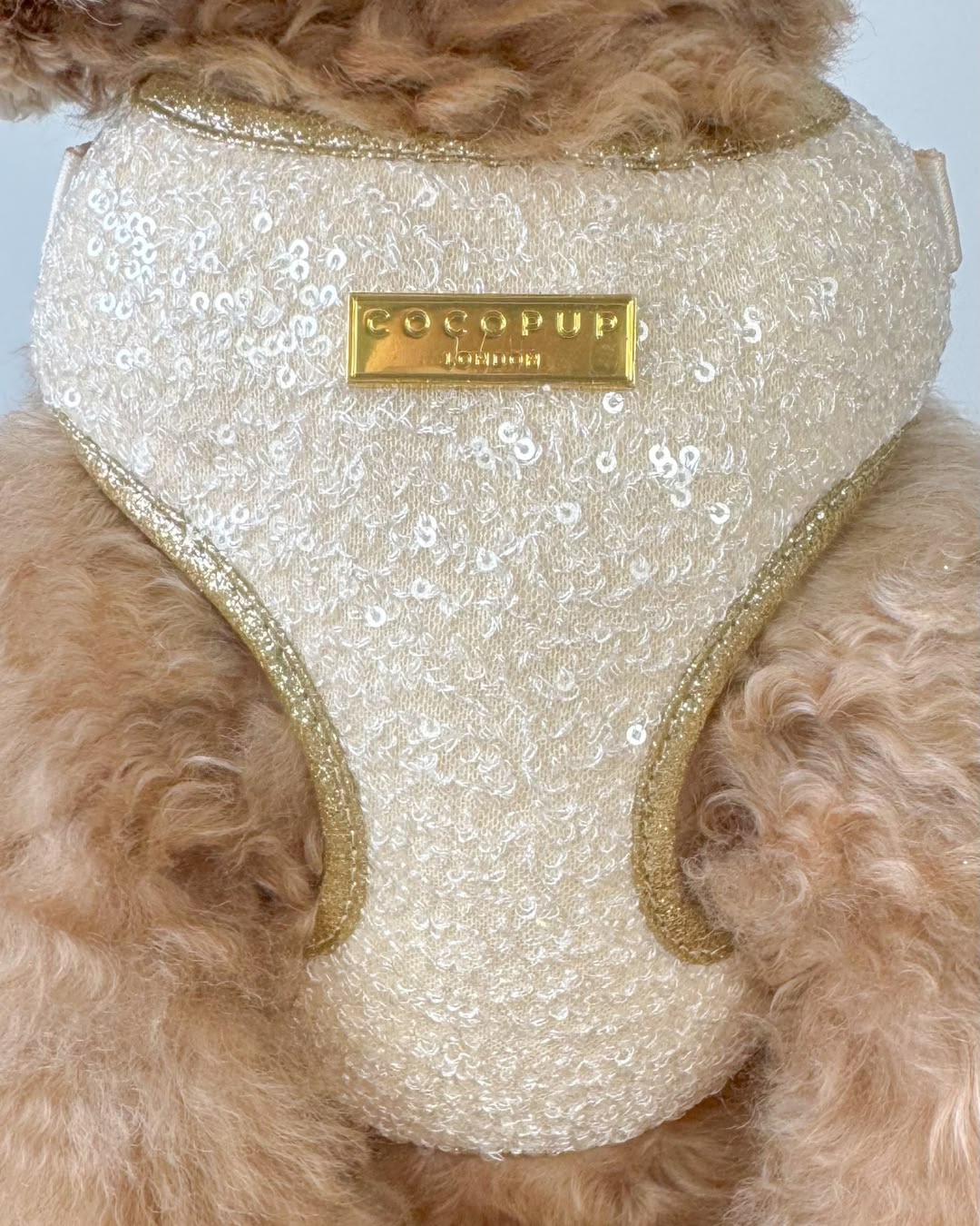 Sparkle season gold dog harness