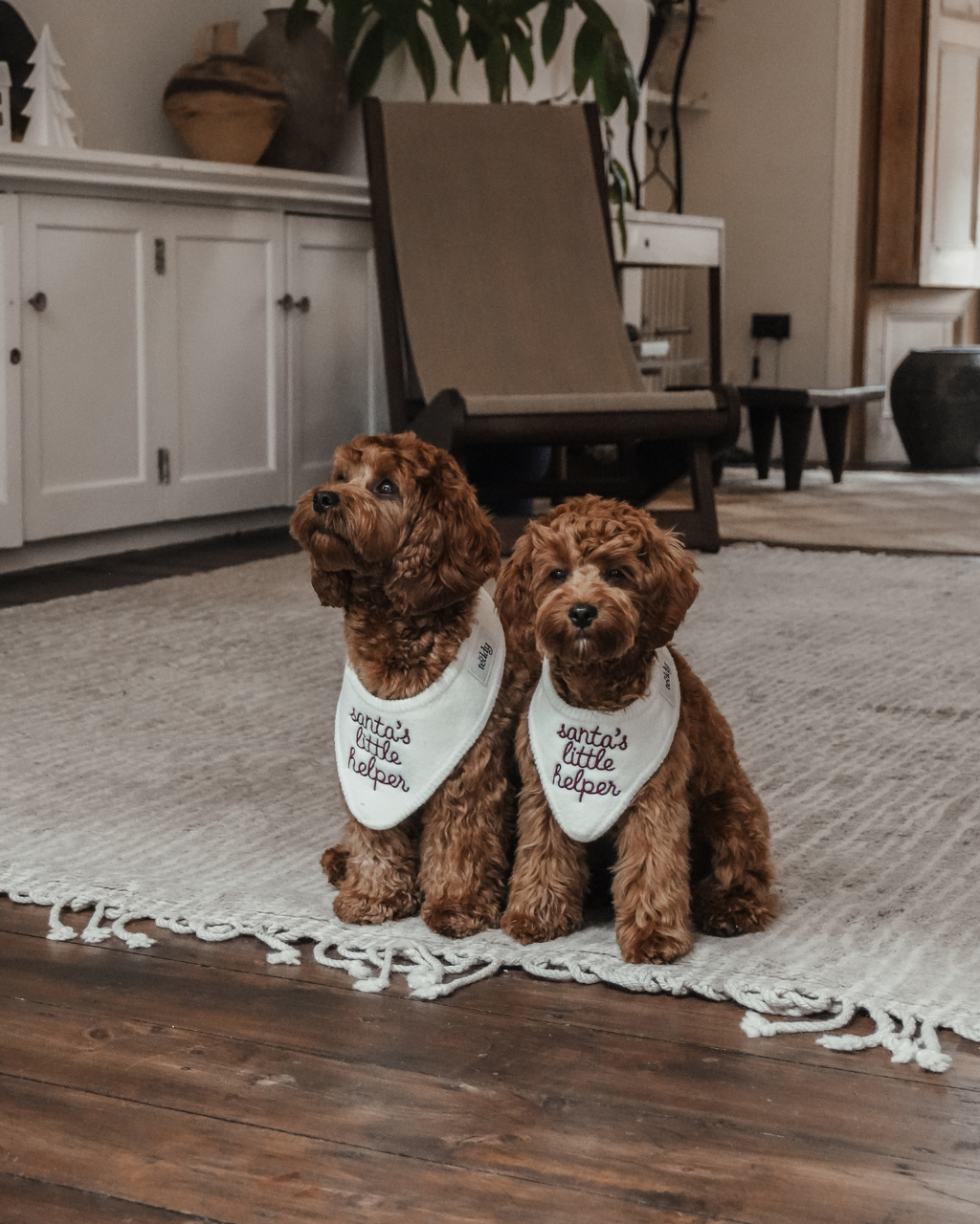 Santa's Little Helper | Knitted Bandana
