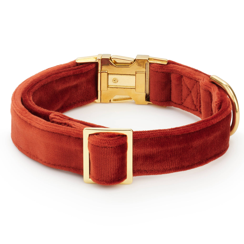 Nutmeg Velvet Dog Collar