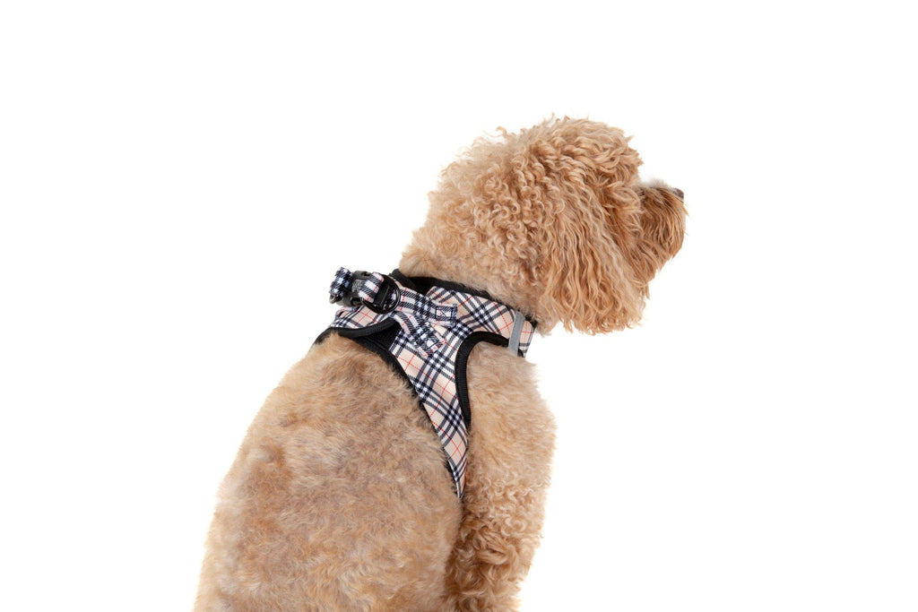 STEP-IN DOG HARNESS: Nova Plaid