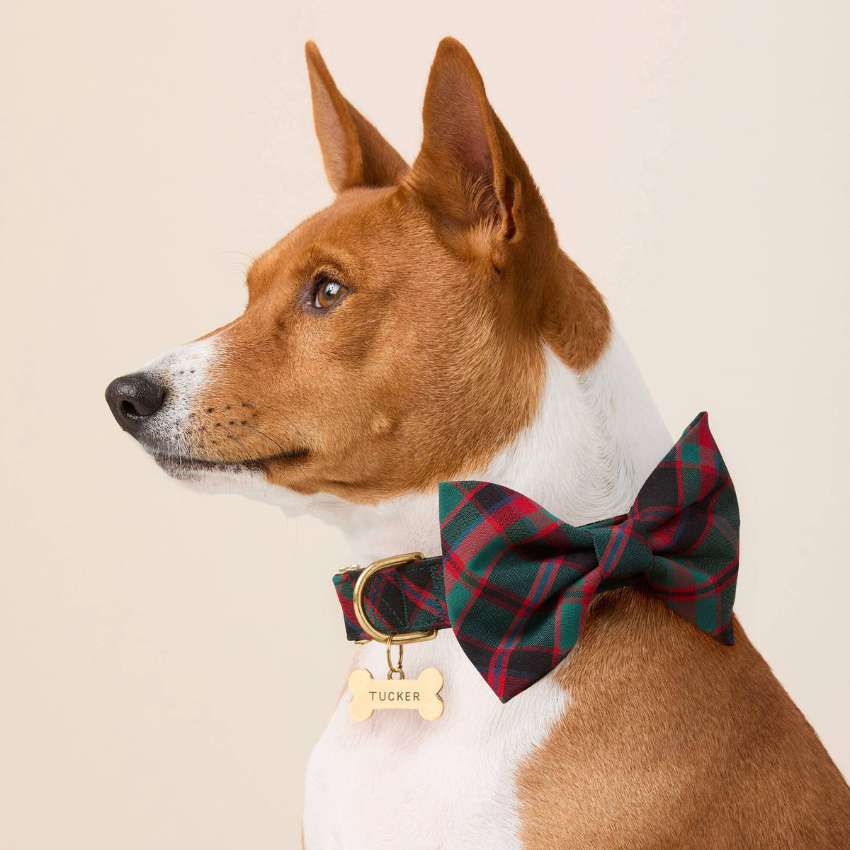 Highland Plaid Dog Bow Tie