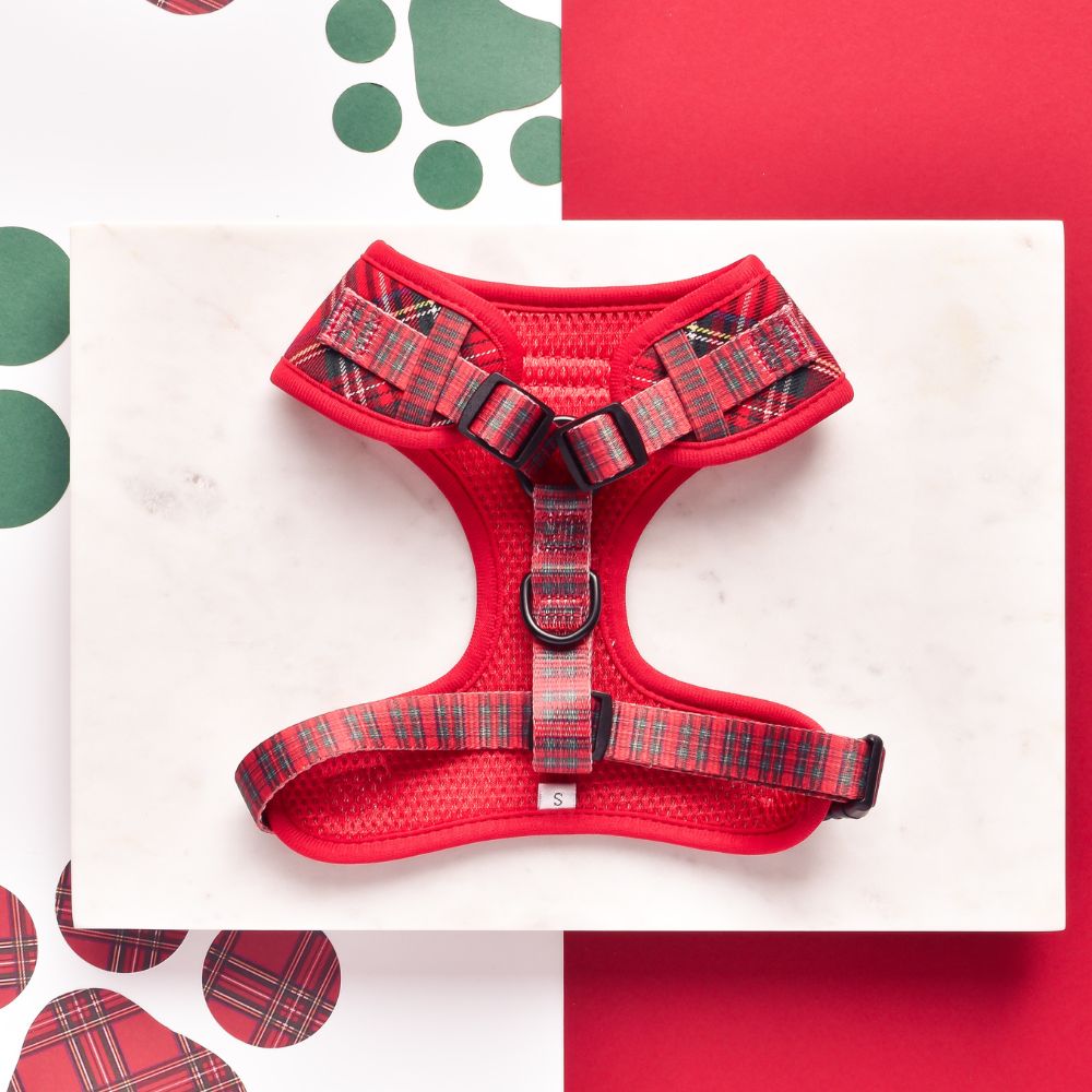 Cocopup Tartan harness