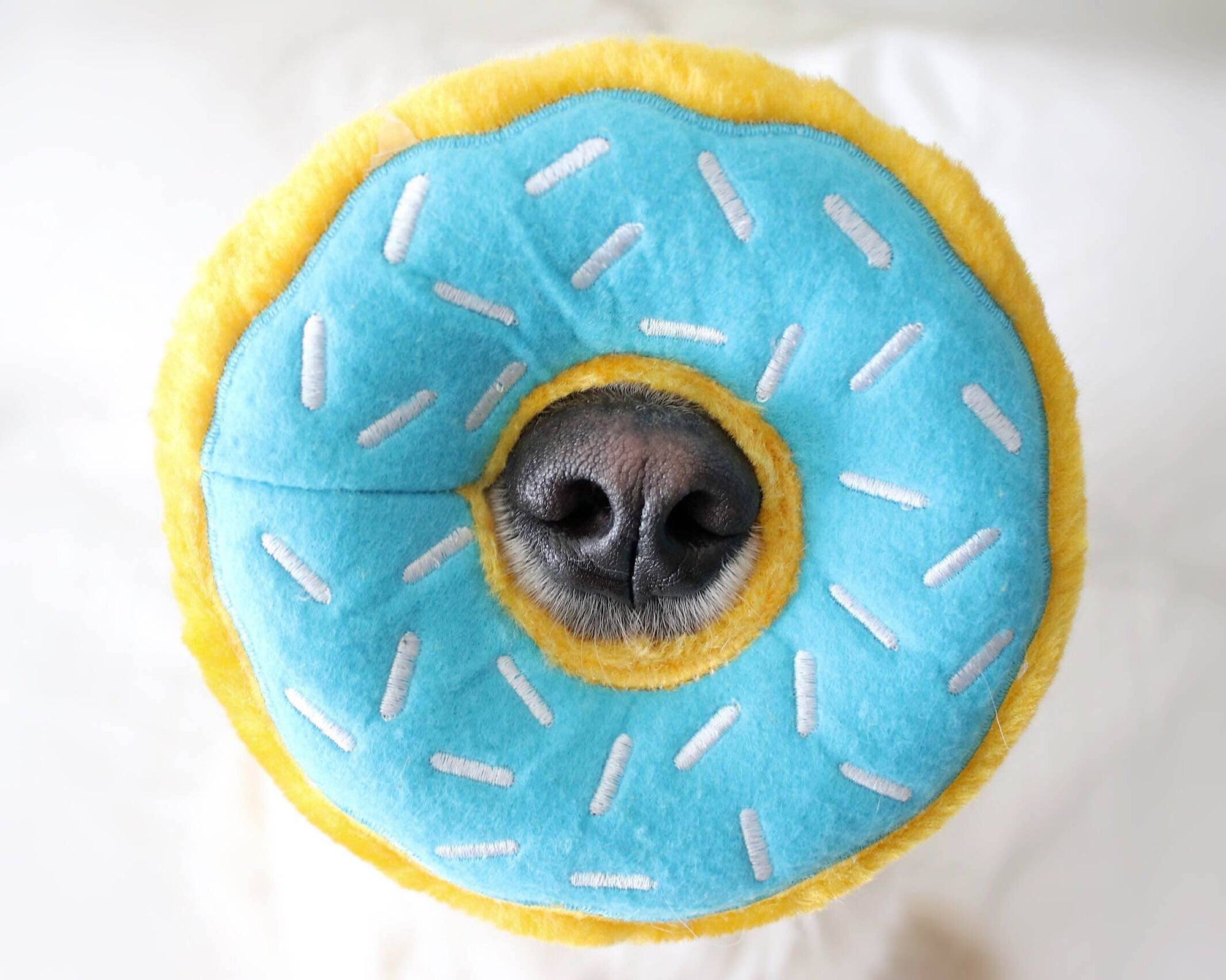 Donutz - Blueberry - Dog Toy