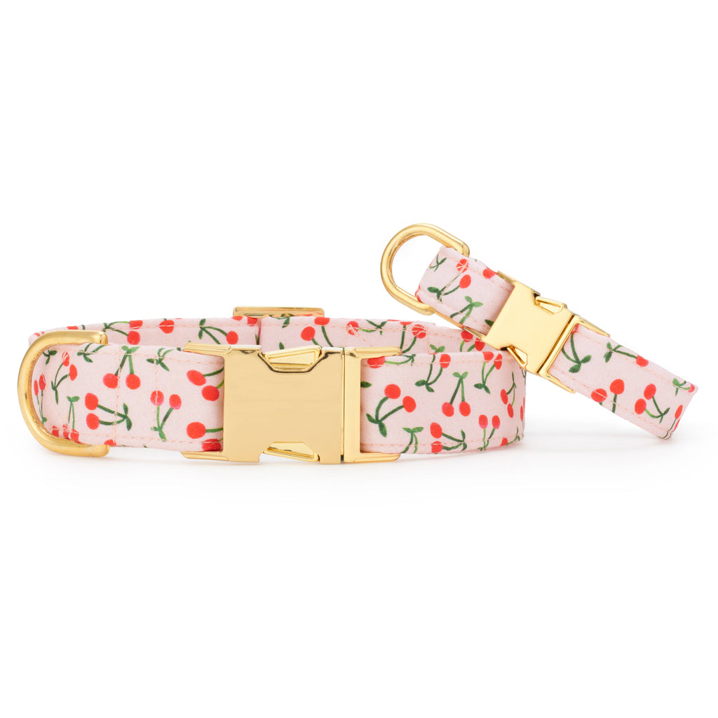Cherry Jubilee Dog Collar