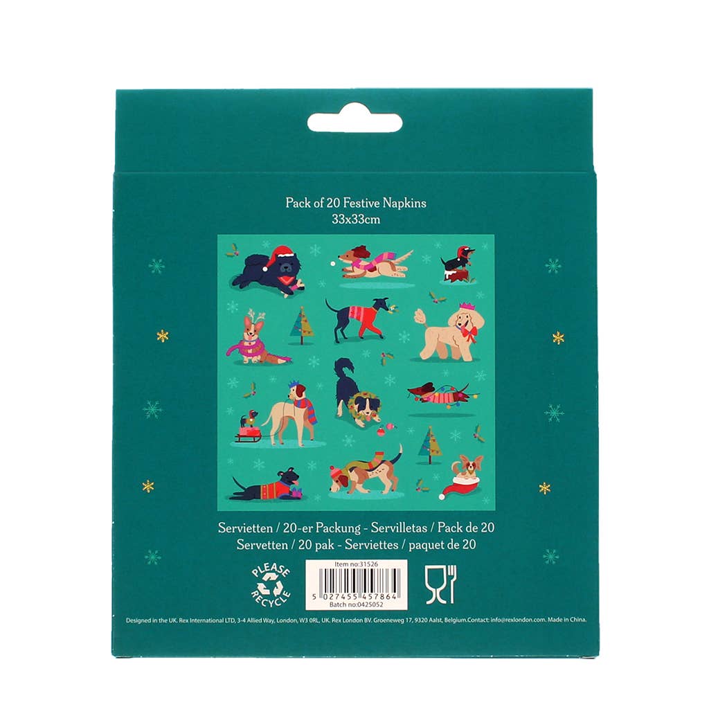 Paper napkins (pack of 20) - Festive Friends