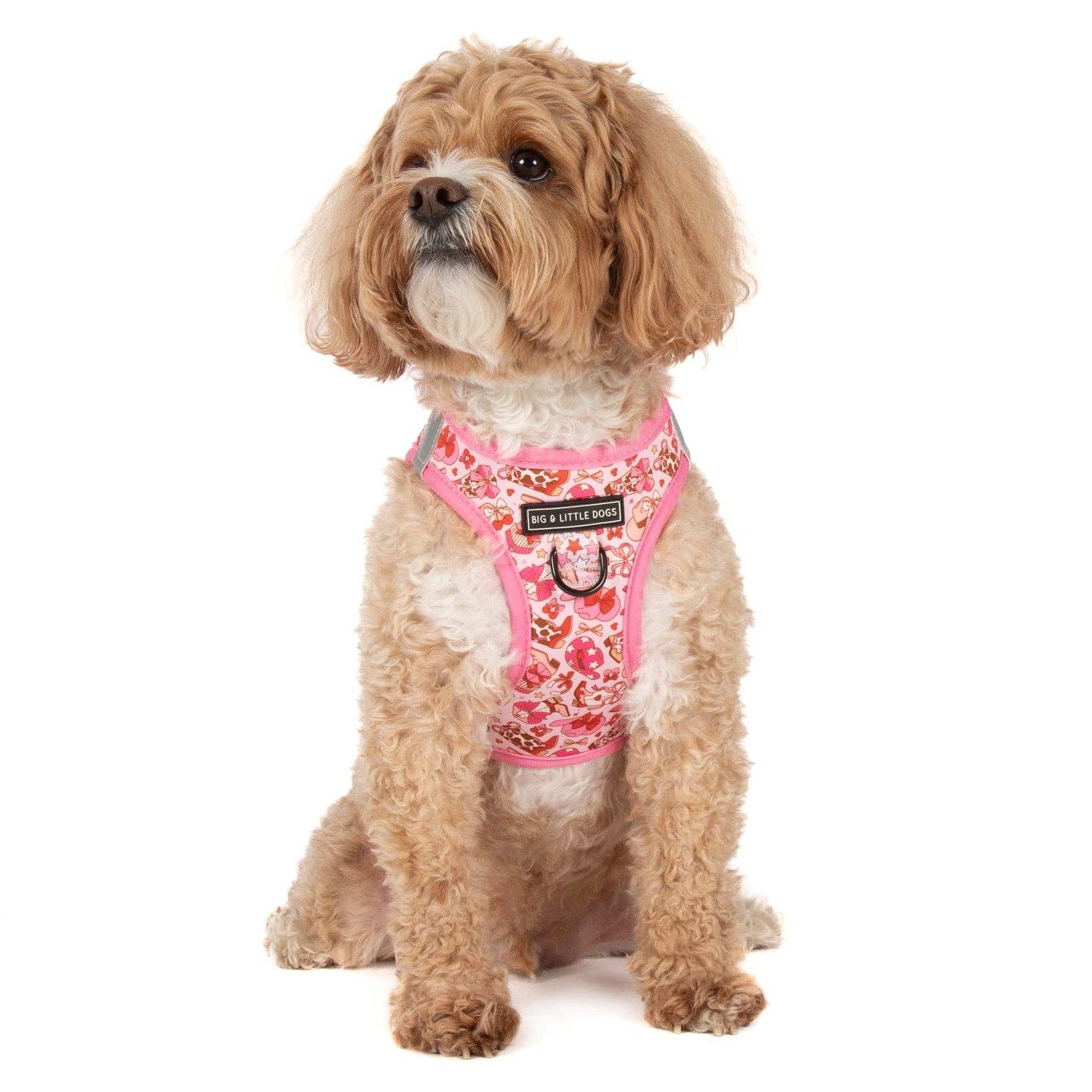 Rodeo Queen step-in dog harness