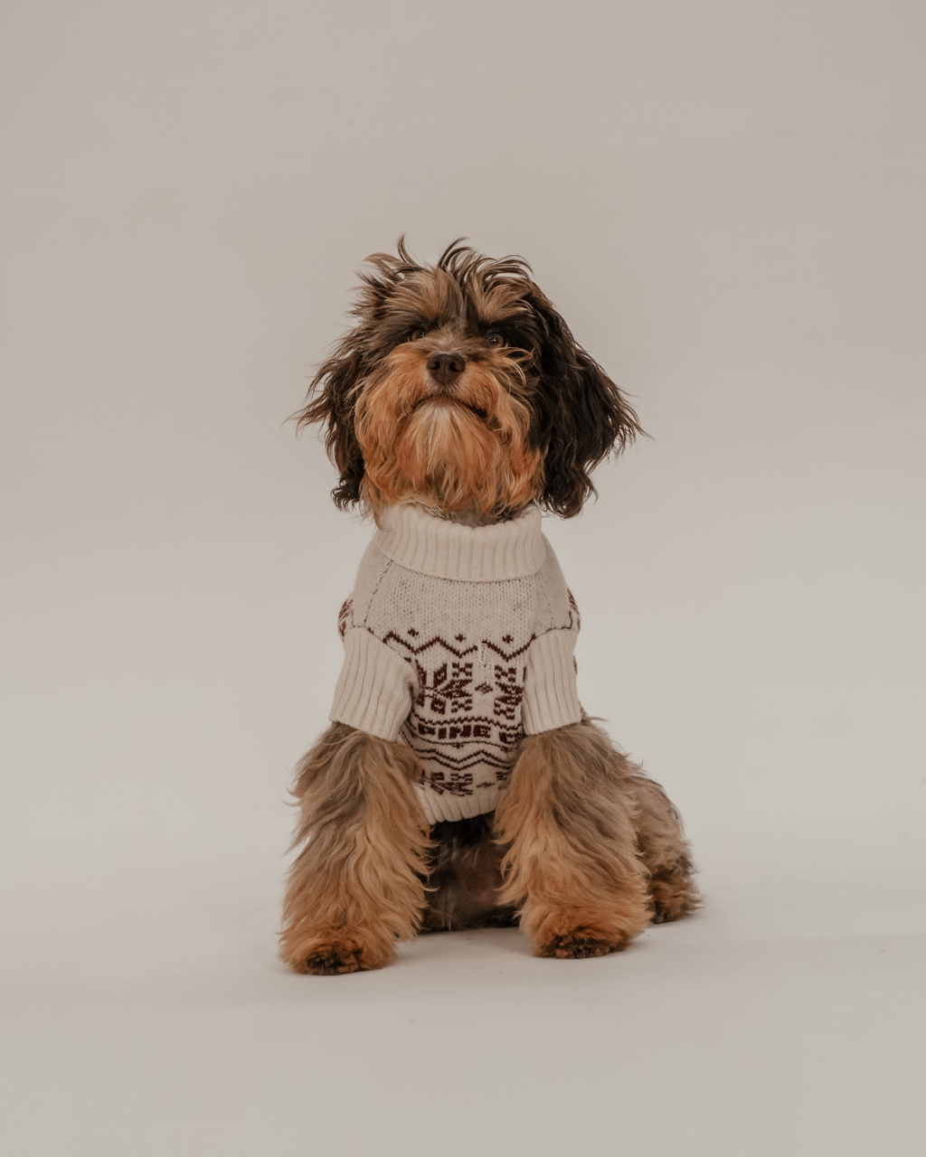 Snowberry | Après Ski Roll Neck Knit