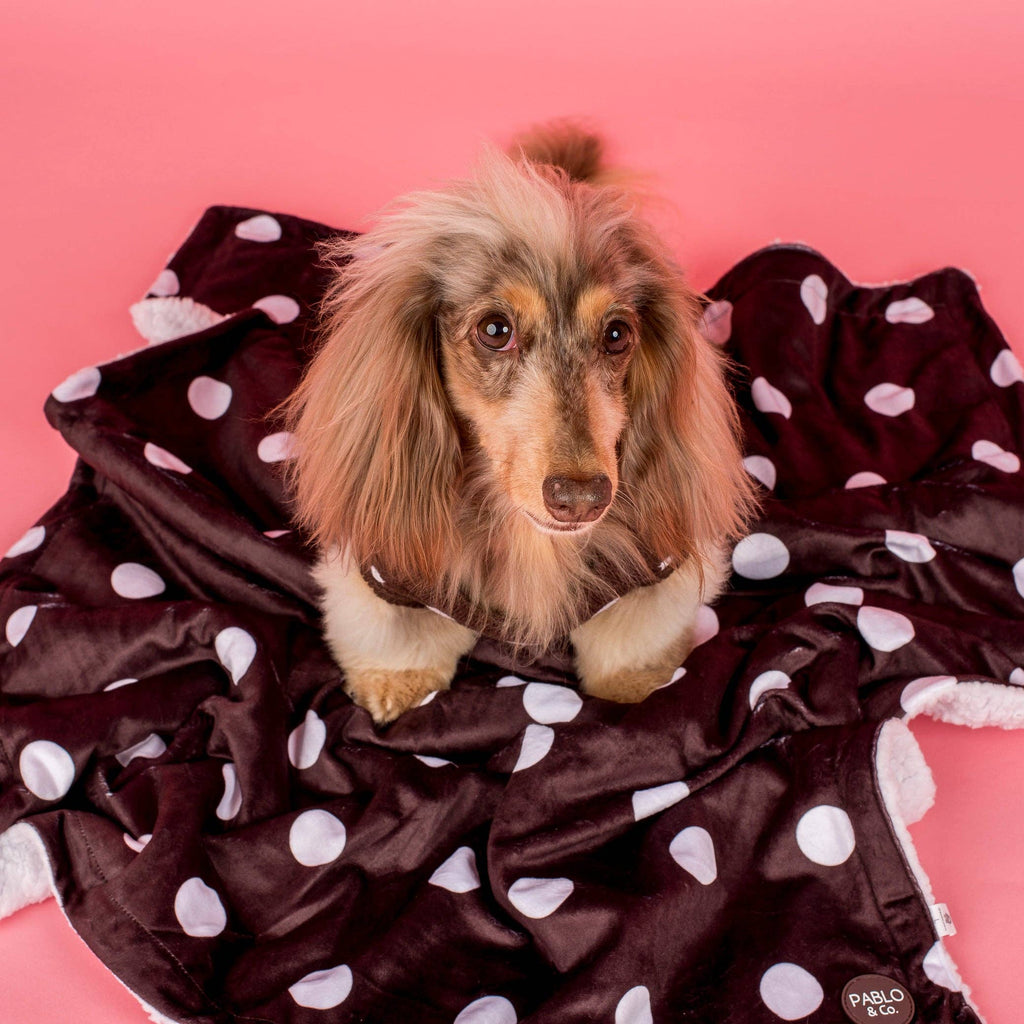 Polka Dots: Dog Blanket