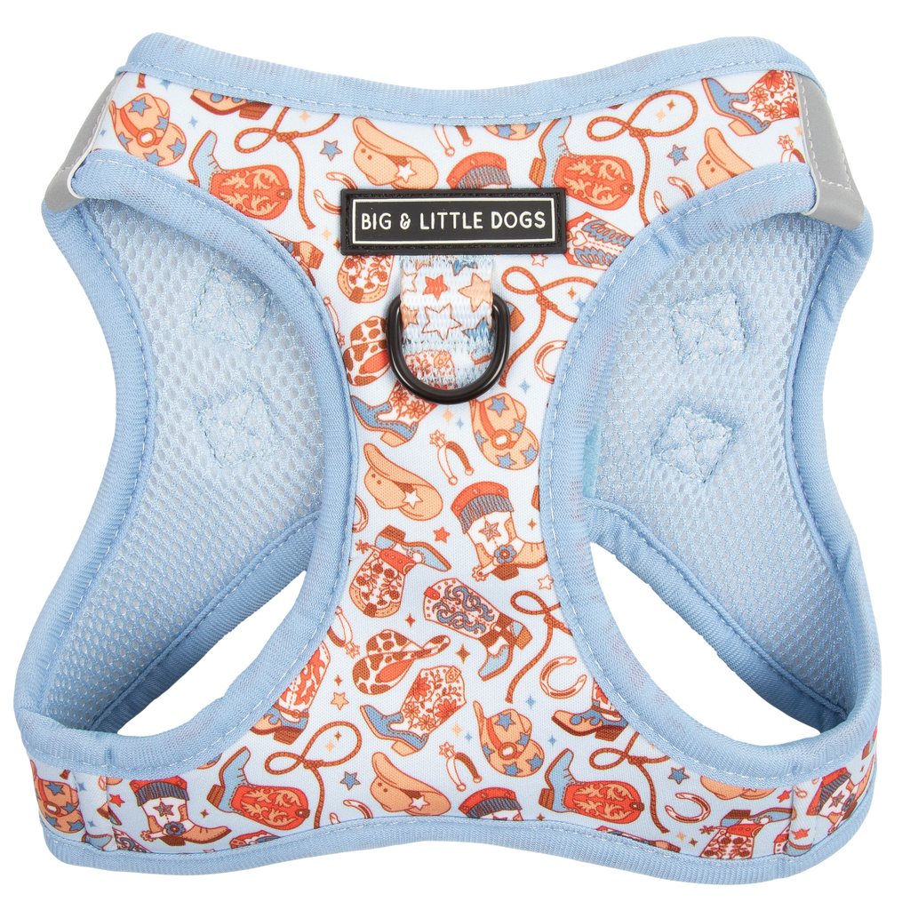 Rodeo King step-in dog harness