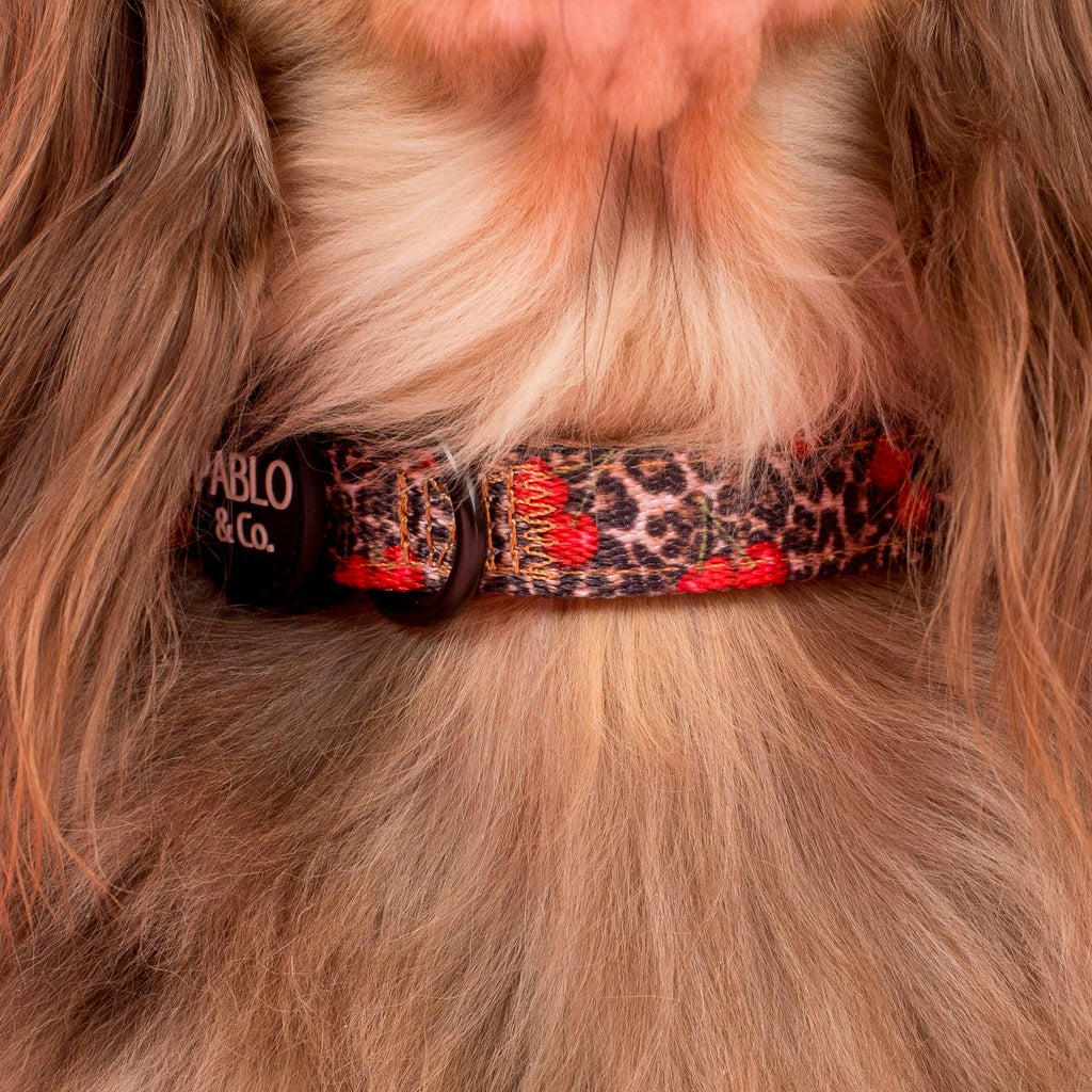 Leopard Cherries: Dog Collar