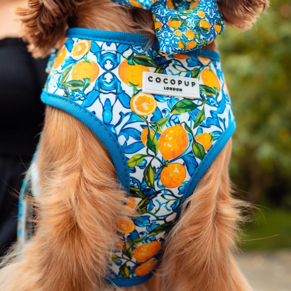 Amalfi Lemon Adjustable Neck HARNESS