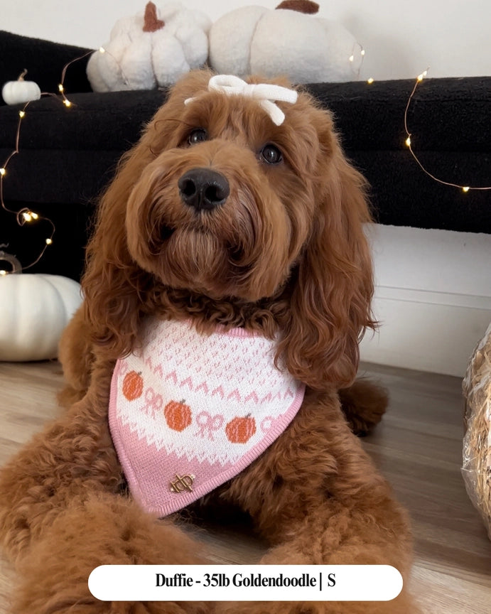 Pink bow pumpkins knitted bandana
