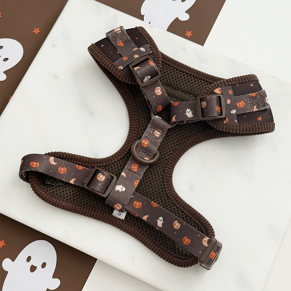Boo Crew Adjustable Neck HARNESS