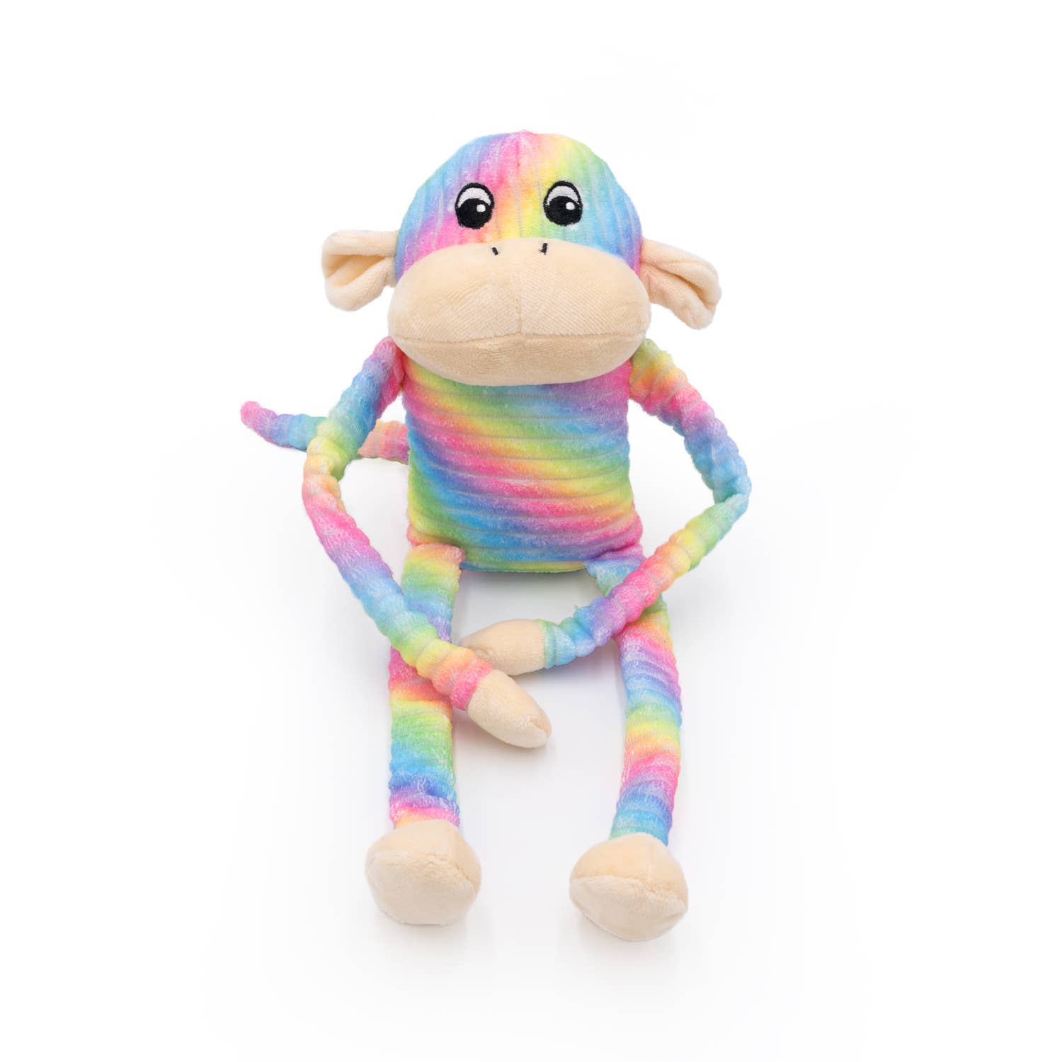 Spencer the Crinkle Monkey - Large Rainbow Dog Toy