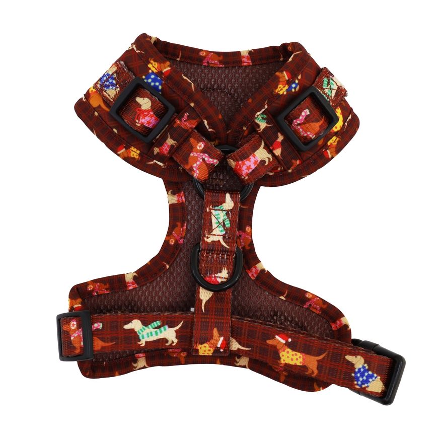 Merry Little Dachshunds harness