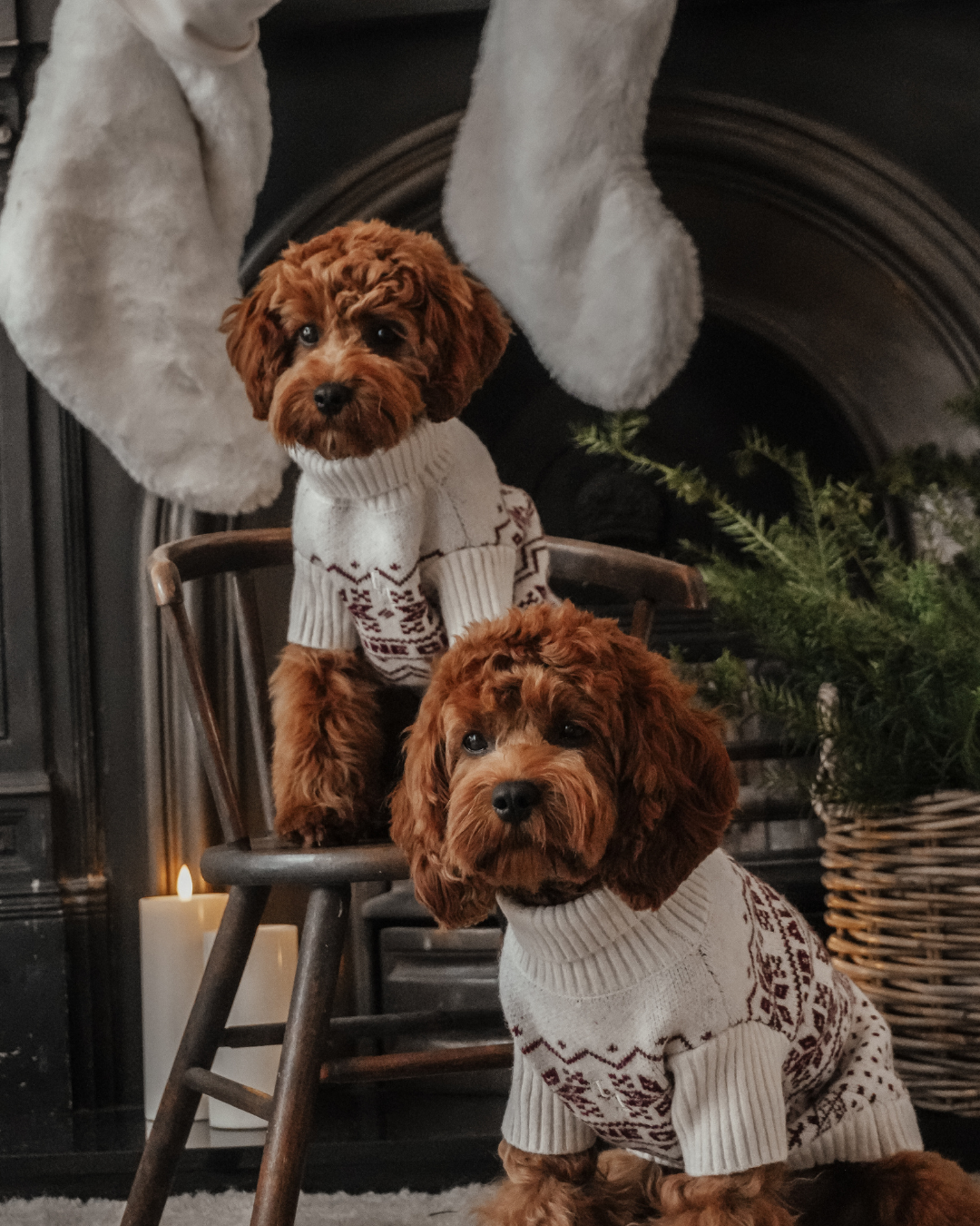 Snowberry | Après Ski Roll Neck Knit