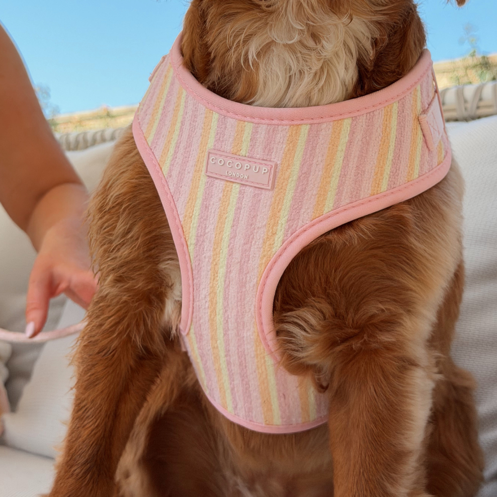 Pastel Stripes Adjustable Neck HARNESS for Dogs