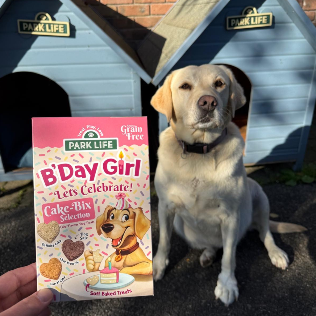 Cake-Bix B'Day Girl Cake Selection 240g